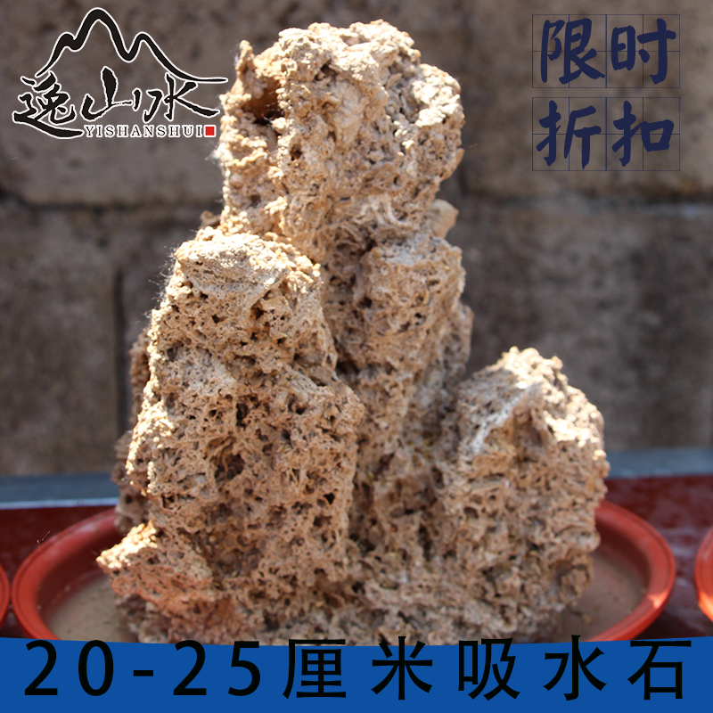 吸水石上水锈石假山盆景植物20cm厘米