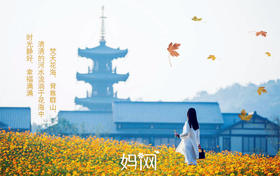 【妈网】之无锡灵山小镇、拈花湾一日游；虽有拈花名 但无拈花意 一花一世界 一叶一菩提 参禅尘世里 回眸几众生