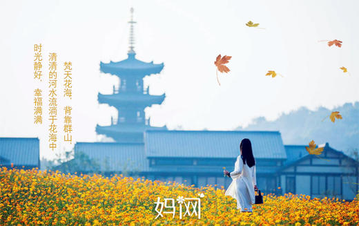 【妈网】之无锡灵山小镇、拈花湾一日游；虽有拈花名 但无拈花意 一花一世界 一叶一菩提 参禅尘世里 回眸几众生 商品图0