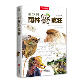 《雨林野疯狂》