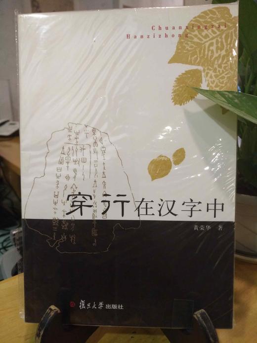 穿行在汉字中 商品图0