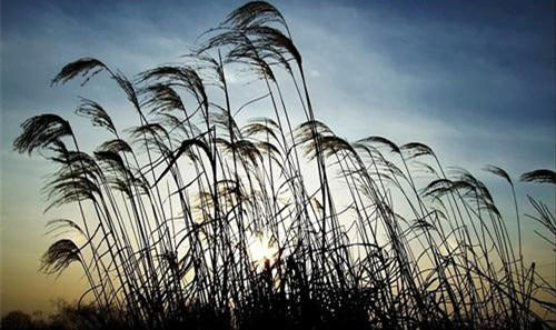 （永久下架 ）【预付】“水韵江苏”～沙家浜虞山尚湖“鸡蟹”师 商品图1