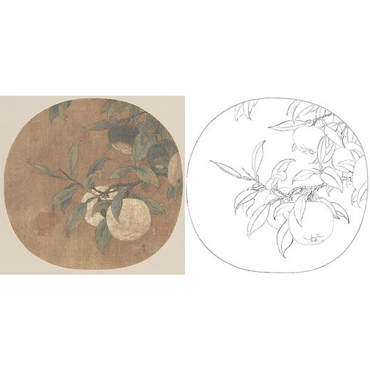 宋画花鸟小品白描底稿-马麟-《橘绿图》-多种白描尺寸可选-GH32 商品图0
