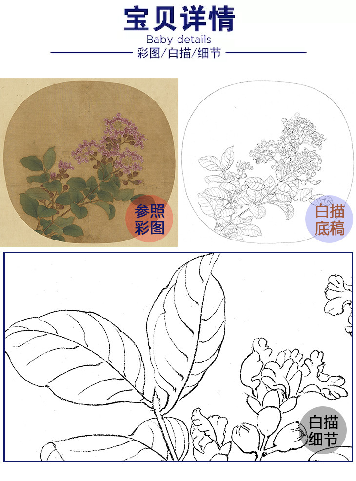 宋画花鸟小品白描底稿-卫升-写生紫薇图-gh04 - 工笔底稿商城