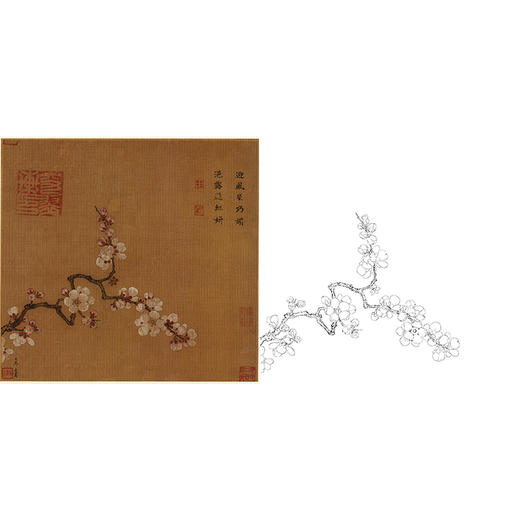 宋画花鸟白描底稿-马远《倚云仙杏图》-斗方小品册页-GH18 商品图0