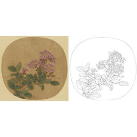 宋画花鸟白描底稿-卫昇-蝴蝶小品《写生紫薇图》-多种白描尺寸可选-GH04