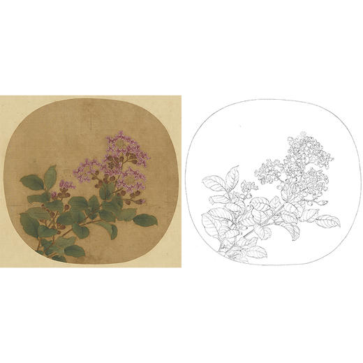 宋画花鸟白描底稿-卫昇-蝴蝶小品《写生紫薇图》-多种白描尺寸可选-GH04 商品图0