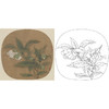宋画花鸟小品白描底稿-佚名《夜合花图页》-多种白描尺寸可选-GH38 商品缩略图0