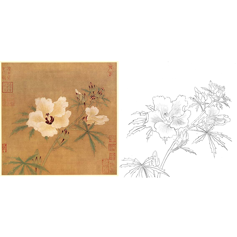 宋画花鸟白描底稿-佚名《秋葵图》-斗方小品册页-GH20
