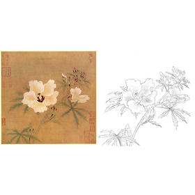 宋画花鸟白描底稿-佚名《秋葵图》-斗方小品册页-GH20