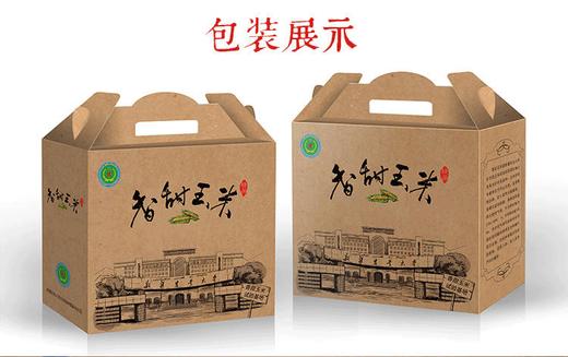 新疆三工滩富硒香糯玉米棒  10根彩糯米  非转基因 商品图3