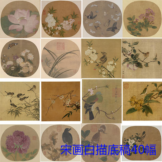 宋画花鸟小品白描底稿一套40幅册页-DB60 商品图0