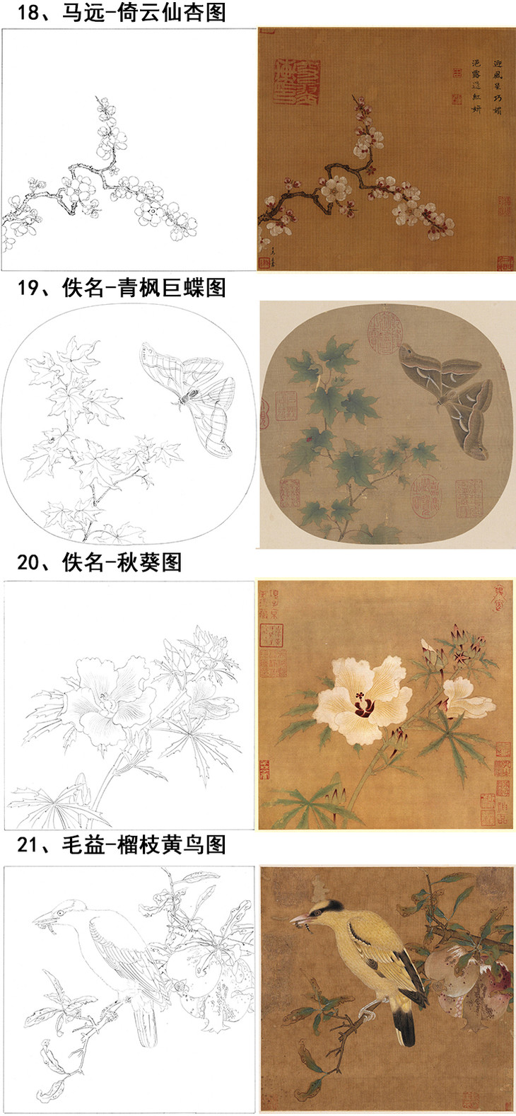 宋画花鸟小品白描底稿40幅-db60