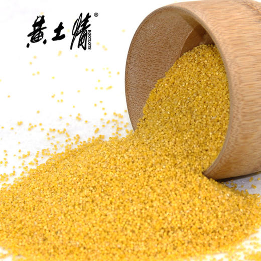 黄土情 延安真空黄小米 2500g 陕北特产香谷米 五谷杂粮粗粮5斤 商品图4