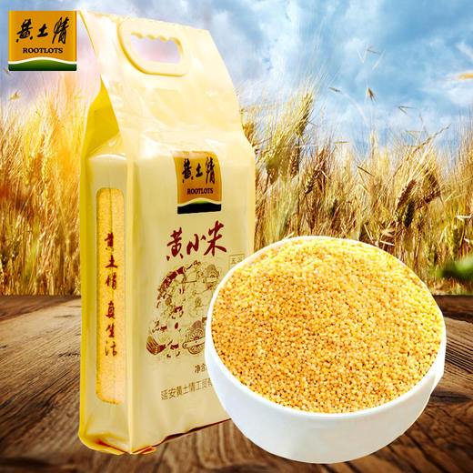 黄土情 延安真空黄小米 2500g 陕北特产香谷米 五谷杂粮粗粮5斤 商品图0