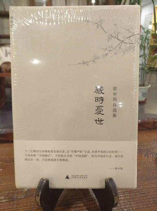 感時憂世 閑情記美 商品图0