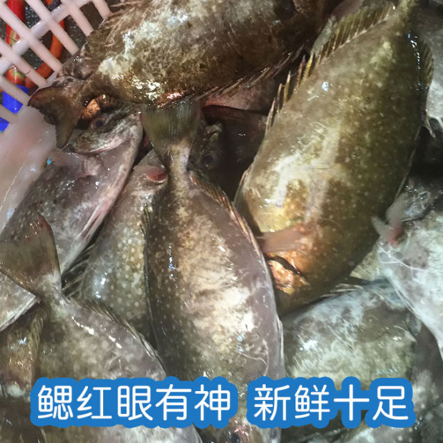 【大泥猛鱼】味道鲜美,肉质紧实 鲜活生猛,帮杀好,煮酸梅,酸菜味道佳