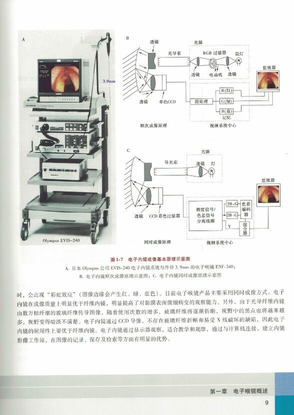 电子喉镜临床应用—鼻咽喉部肿瘤窄带成像内镜图谱(配增值 作者:倪