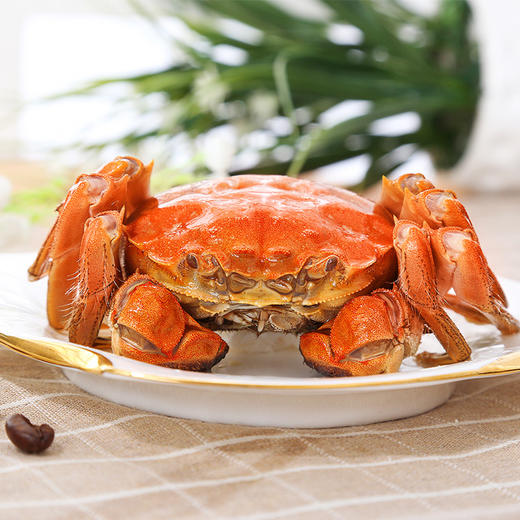 【云柜生鲜】正宗兴化红膏大闸蟹膏红肉鲜【江浙沪皖顺丰包邮】 商品图3