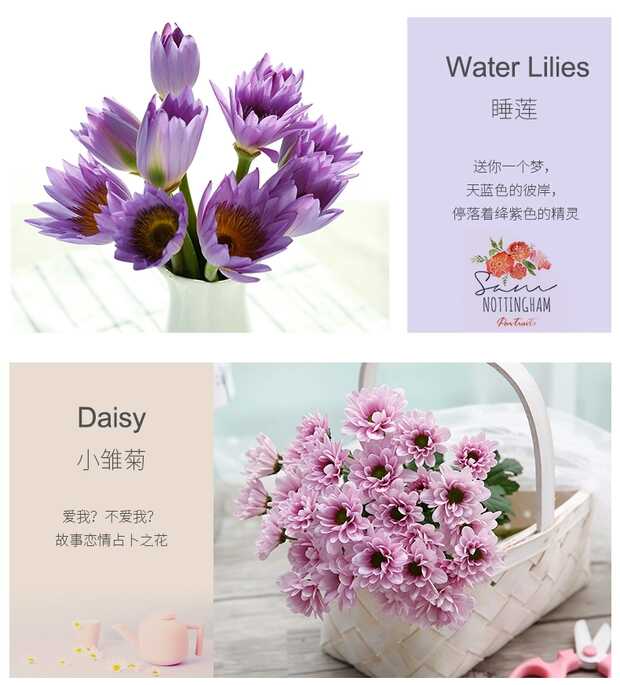 鲜花按月订购_订购鲜花 南宁江南_沈阳大东订购鲜花