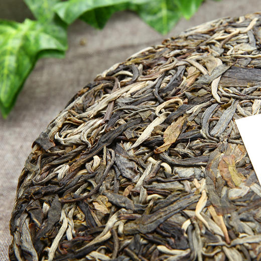 景迈300年兰香大树七子饼茶饼 2013新春茶 普洱生茶357g 商品图2