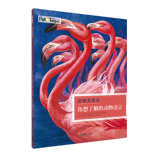 40746动物发现志全4册英国科普套装6-14岁儿童 商品图3