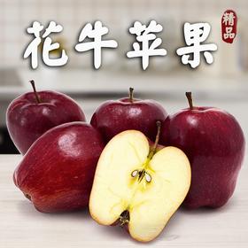 TestProduct批改