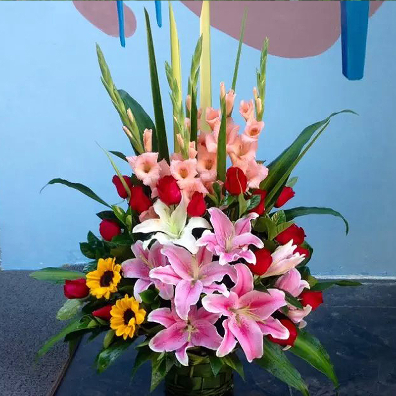 鲜花混搭红掌高档手提花篮送领导老师长辈节日生日祝福探访感恩节