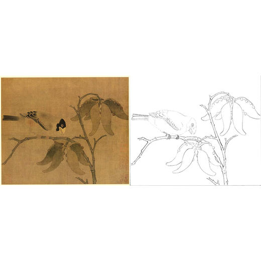 宋画花鸟白描底稿-佚名《蜡嘴桐子图》-斗方小品册页-GH74 商品图0