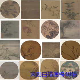 宋画花鸟小品白描底稿一套40幅册页-DB70