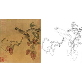 宋画花鸟白描底稿-佚名《蜡嘴荔枝图》-斗方小品册页-GH73