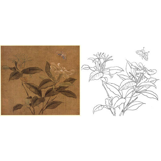 宋画花鸟白描底稿-佚名《栀子蝴蝶图》-斗方小品册页-GH77 商品图0