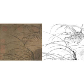 宋画花鸟白描底稿-佚名《鹌鹑图》-斗方小品册页-GH51