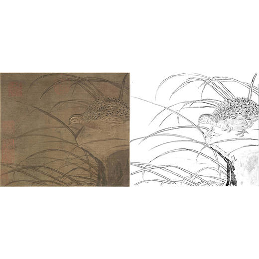 宋画花鸟白描底稿-佚名《鹌鹑图》-斗方小品册页-GH51 商品图0