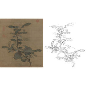 宋画花鸟白描底稿-佚名《折枝果图》-斗方小品册页-GH44