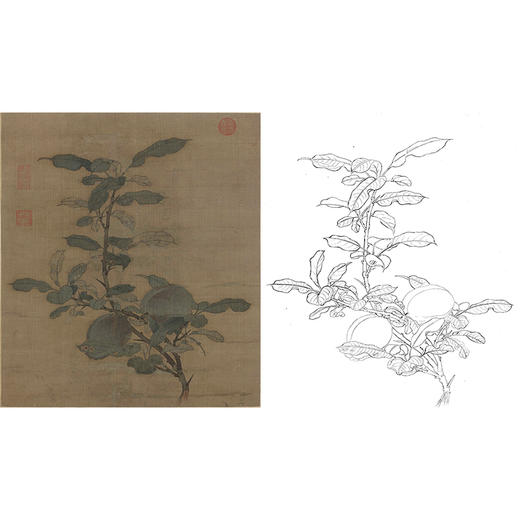 宋画花鸟白描底稿-佚名《折枝果图》-斗方小品册页-GH44 商品图0