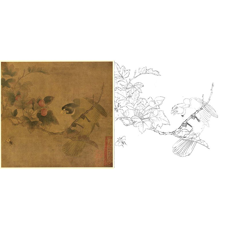 宋画花鸟白描底稿-佚名《红果绿鹎图》-斗方小品册页-GH70