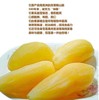 雪莲果 商品缩略图0