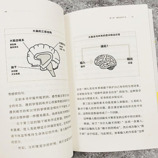 《错觉的法则：识破大脑诡计的思维管理法》教你如何向大脑输入正向记忆数据，重建思维结构，塑造成功大脑与成功人生。 商品图4
