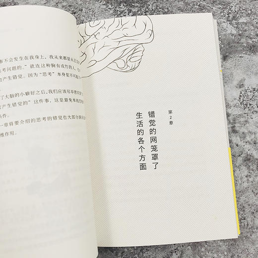 《错觉的法则：识破大脑诡计的思维管理法》教你如何向大脑输入正向记忆数据，重建思维结构，塑造成功大脑与成功人生。 商品图5