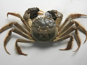 小绵的测试啦啦啦批改