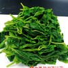桑嫩芽嫩芽菜(网红爆款)桑叶250g/包 商品缩略图3