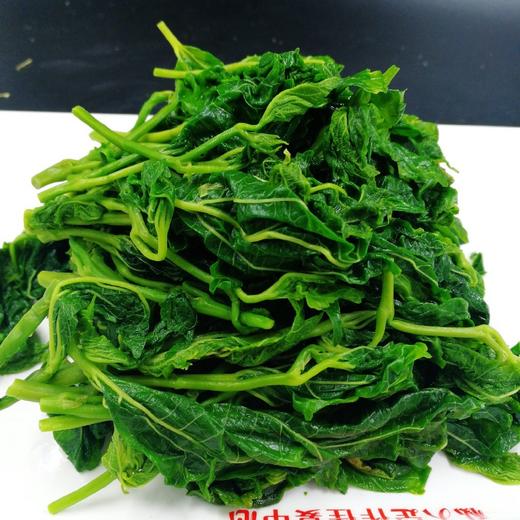 桑嫩芽嫩芽菜(网红爆款)桑叶250g/包 商品图3