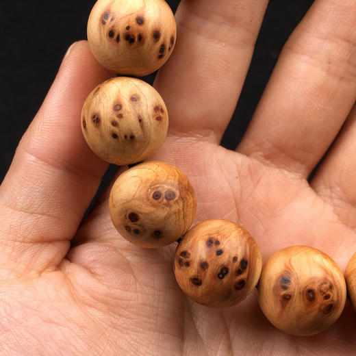 1.5半满雀眼太行崖柏	YB30 商品图5