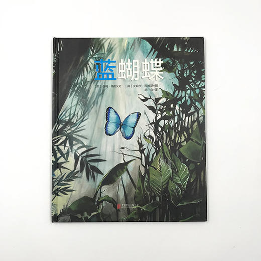 《蓝蝴蝶》来自亚马逊丛林的美丽故事，讲述生命的循环不息。 商品图1