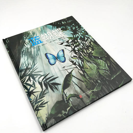 《蓝蝴蝶》来自亚马逊丛林的美丽故事，讲述生命的循环不息。 商品图2