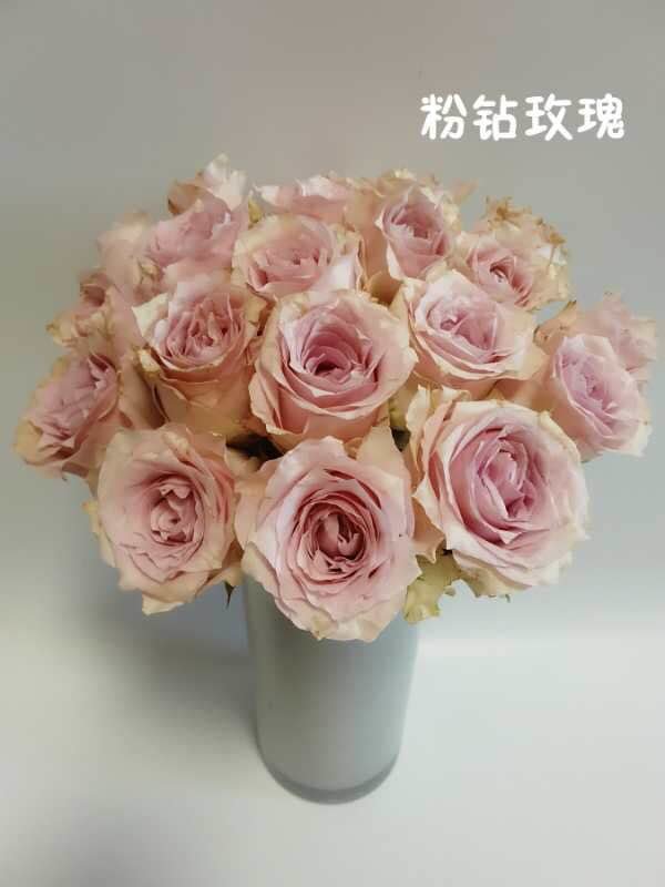 【昆明直发】2人团 || 国产单头玫瑰:粉钻,29.