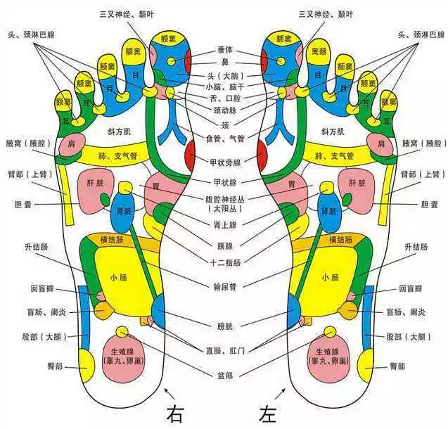 所以, 护理好自己的脚