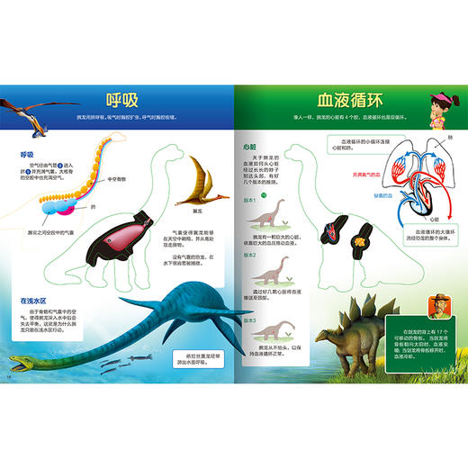 看看里面是什么：恐龙的奥秘 商品图2