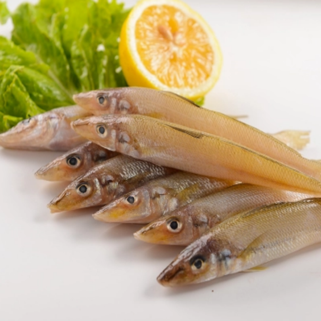 Ʒʡɳ 500g ʺ 17:00ǰµ